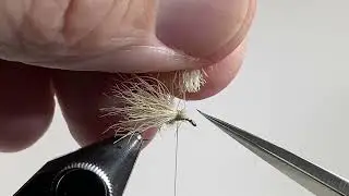 Tying the Mugly Caddis dry fly.  