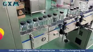 High Output 250ML Liquid High Speed Filling Production Line
