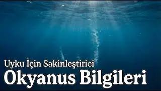 Okyanusun Gizemi: Derin Maviye Yolculuk | Uyku İ&ccedil;in Sakinleştirici Belgesel