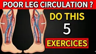 5 Simple Exercises to Fix Poor Leg Circulation in Seniors (Do This Daily!)