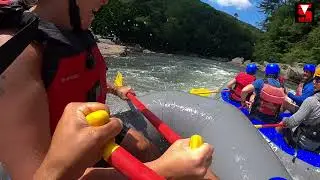 Deep Into The Wild - Volunteer & Honoraries
