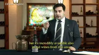 Ronchedone 2009 Vino Rosso, Ca' dei Frati - Videodegustazione (Online wine tasting)