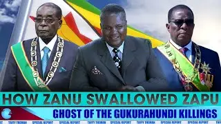 Unity Accord, How ZANU PF swallowed Nkomo's ZAPU