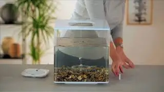 Changing the Airstone in your biOrb is easy