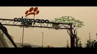 YYC ZOO