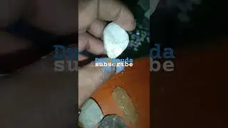 dum geuda