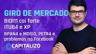 BIDI11 cai, ITUB4 e XP, Banco Pan (BPAN4) e Mosaico (MOSI3), PETR4 sobe e problemas no Facebook