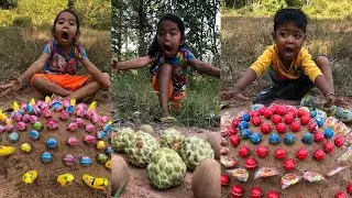 Survival Skills: SMART idea and USEFUL with single mom in forest #bushcraft #soursop #Candy #wow!