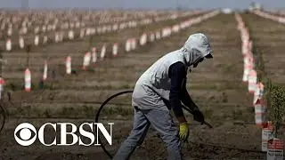 Severe droughts in Western U.S. force farmers to forgo or swap crops