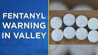 VALLEY WARNING: Fake pills laced with deadly levels of fentanyl becoming common