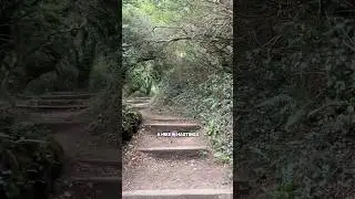 Easy circular hike in Hastings.