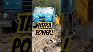 Climbing Like a Boss &ndash; Tatra in Beast Mode! 🏔️🔥 ##truckdriver #lkw #camion #bigrig #automobile #job