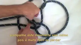 Nó de Moringa