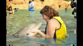 Discovery Cove - Discovery cove discounts - Discovery cove discounts with american express