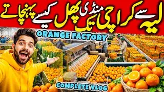 لیہ کی مشہور اورنج فیکٹری 🍊 جہاں سے کراچی تک مال جاتا ہے |Complete Packing Process Karachi Mandi