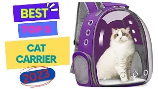 Best cat carrier: How To Choose The Right One