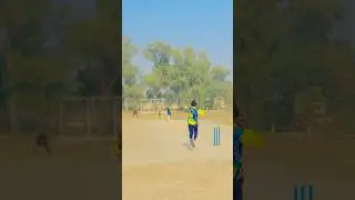 Fast over in 2inning #indvsaustesthighlights  Pakistan vs South Africa #bpl2024 bbl pal ipl