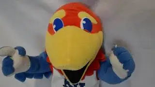 Champion KU Jayhawk Mascot Bird