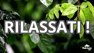 30 MINUTI DI SOLA PIOGGIA - perfetta per DORMIRE, RILASSARSI, MEDITARE, STUDIARE, CALMARSI...