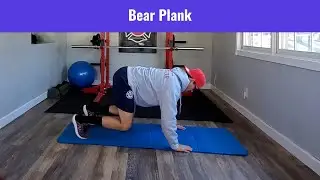 Bear Planks (hold)