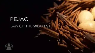 Pejac - Law of the Weakest - Art Review