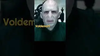 Related Harry Potter and Fantastic Beast characters #harrypotter #fantasticbeasts #potterhead #hp