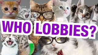 Who lobbies?