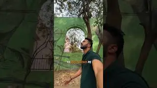 📌 Lodhi Art District #lodhiartdistrict #lodhiwallart