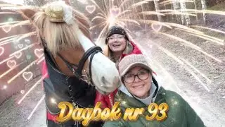 Dagbok nr 93 &rdquo;Ny&aring;rsafton med Nalle&rdquo;