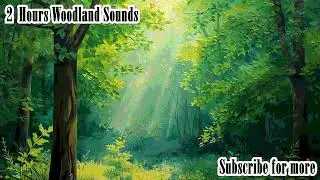 2 Hours of Woodland Ambience 🌿 Birdsong & Distant Waterfall | Sleep, Study, Relax 🌲