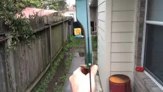 Traditional Archery aiming Techniques