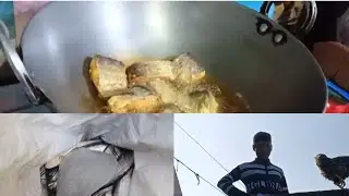 Fish 🐟🐟 hi fish 🐟 ll Aaj fish 🐠 ki loot machi hai 😱 ll please like share subscribe ♥️