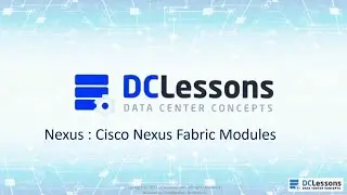 Module 4 Nexus Fabric Module