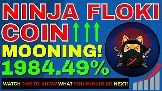 NinjaFloki Coin Mooning 1984.49% | Kuai Token News | PAPPAY | MiniTesla | Grape| Silva |Farm Finance