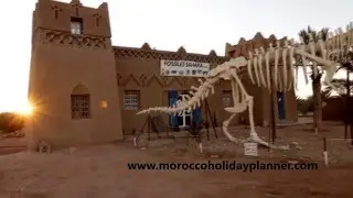 Morocco Holiday Planner - Sahara Fossils - Tyrannosaurus Morocco Erfoud Rissani - Tours in Morocco