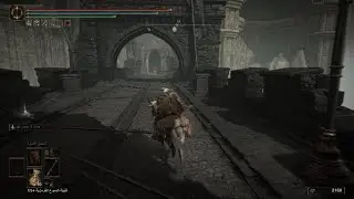 ELDEN RING shadow of the edtree funny moment