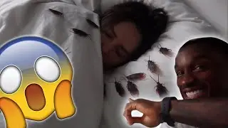 COCKROACH PRANK ON GIRLFRIEND!!!! *HILARIOUS*