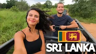 THIS IS WHY YOU TRAVEL SRI LANKA! 🇱🇰 ELEPHANT SAFARI