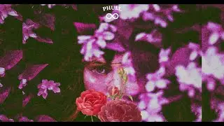 Phull - Pavvan | Baljeet Sandhu | Rokitbeats