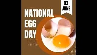 Happy National Egg Day! 🥚 🐣 🍳 🥚 🥚 🥚 #nationaleggday #eggday