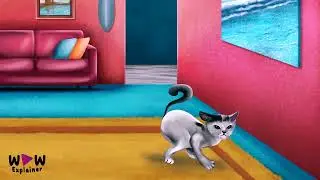 Cats Of Malta X2 Animations Sequence Crazy Nannu
