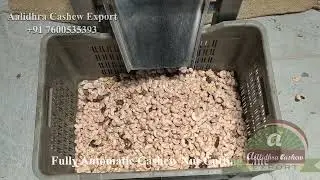 Full Automatic Hi Tech Cashew Cutting And Processing Machinery