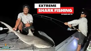Catching HUGE SHARKS in Tampa Bay! | Fish Wars