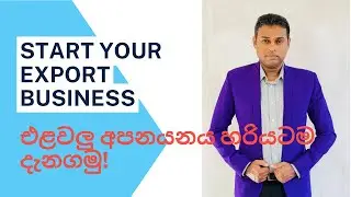 එළවළු අපනයනය කරන විදිහ ඉගෙනගමු / Vegetable Export