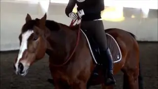 Tappert fors&oslash;k p&aring; halsring // 06.12.15
