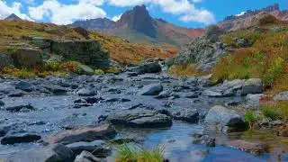 Peaceful Mountain Stream | Relaxing Nature Loop with Flowing Water Sounds [4K]