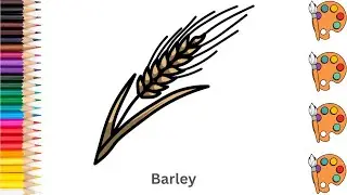 Barley - Sketch Art and Paint | Step by step tutorial | Pencil to Palette