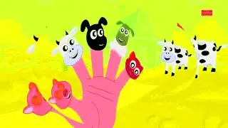 Finger Family | Animals Finger Parody Songs (mirror+reverse effects)