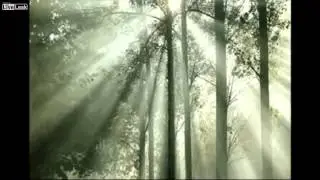 Trippy GIF Compilation 2013 The XX Intro