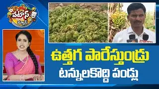 ఉత్తగ పారేస్తుండ్రు టన్నులకొద్ది పండ్లు | Banana farmers Problems on Price | Patas News | 10TV